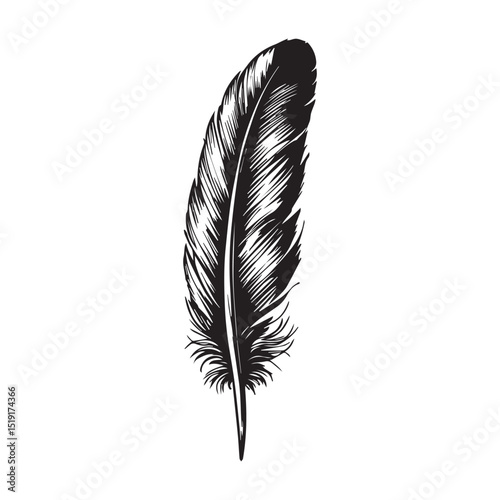 Feather
