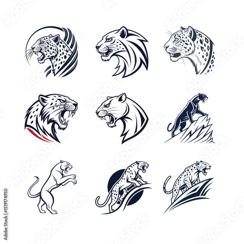 Jaguar head icon set vector, jaguar logo set. Adobe Illustrator Artwork