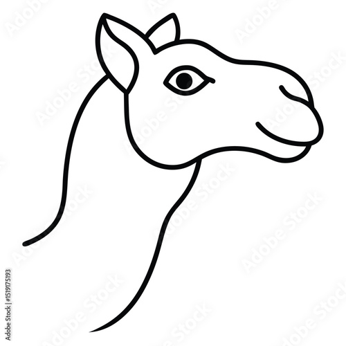Camel Head on White Background