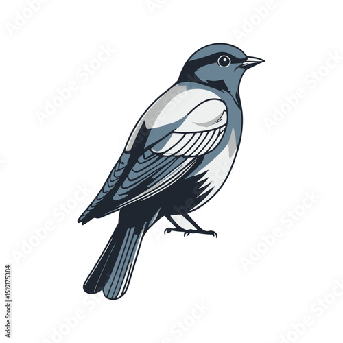 vector illustration of a bird