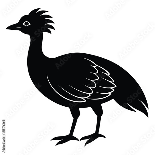 Corydoras Fish Silhouette on White Background