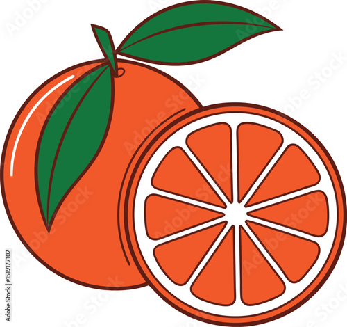 Whole orange and slice illustration fresh citrus fruit