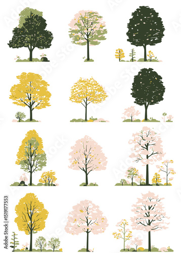 Collection of Diverse Trees Summer Foliage Illustrations