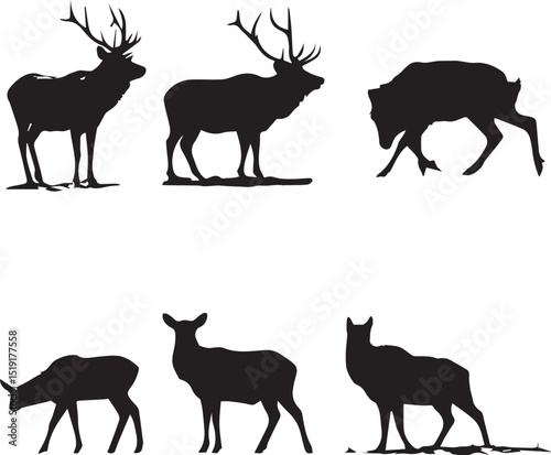 deer silhouette collection