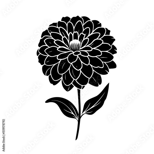 Elegant black and white floral illustration featuring detailed dahlia bloom and foliage