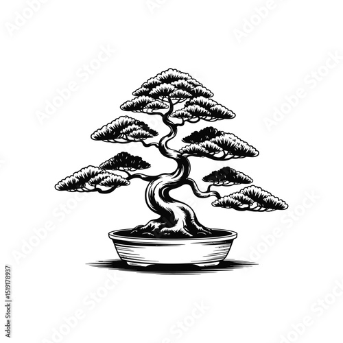 Elegant Bonsai Tree A Black and White Illustration of Tranquility and Miniature Landscape