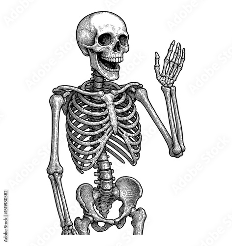 Skeleton Waving Hand with Engraving Style Illustration on White Background Half Body