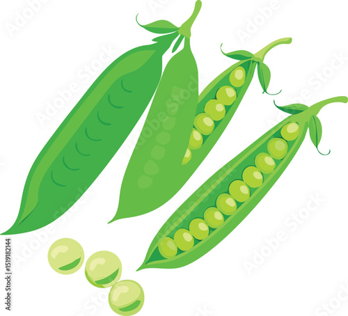 Green peas in pods illustration vector design