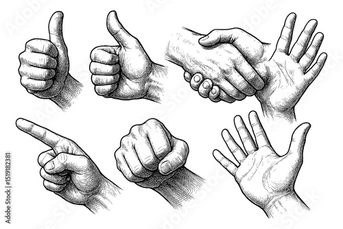 Set of Hand Gestures with Thumbs Up, Pointing, Shaking, Fist, and Open Hand Illustration