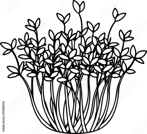 Line Art Plant Cluster: A stylized line drawing of a lush cluster of plants, featuring delicate leaves and slender stems, creating a simple yet elegant botanical illustration.