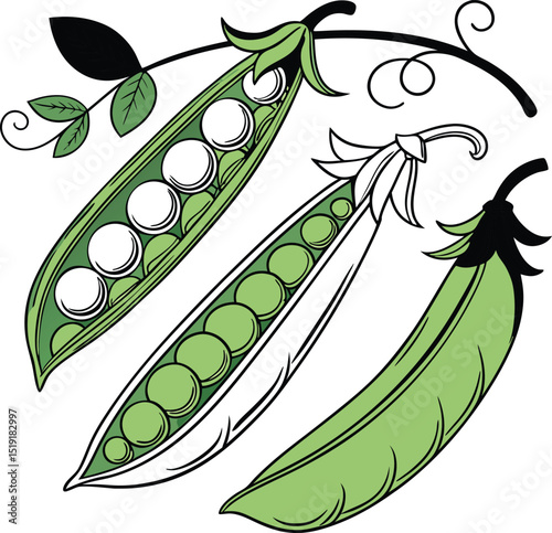 Fresh green peas illustration a vibrant depiction of peas showcasing their natural beauty and promoting healthy eating habits