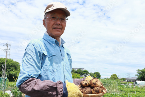 収穫したジャガイモを持つ男性