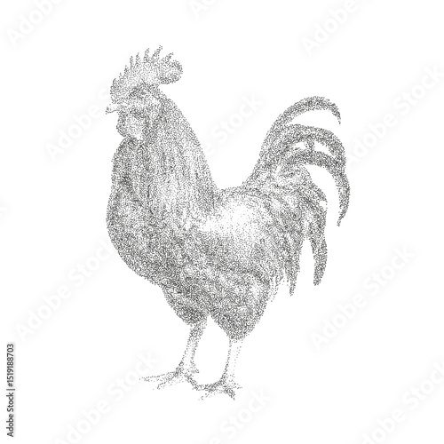 Stipple Rooster Illustration – Hand Drawn Farm Bird in Vintage Dot Style