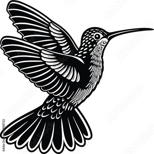 A black and white illustration of a hummingbird in flight from a side viewpoint showcasing its detailed feathers and long beak