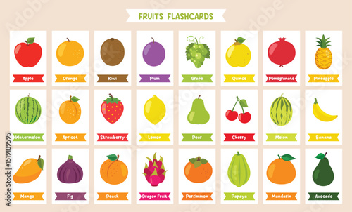 Wallpaper Mural Fruits and Names Flashcard Design Torontodigital.ca