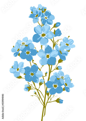Elegant Blue Forget-Me-Nots Watercolor Floral Vector Illustration