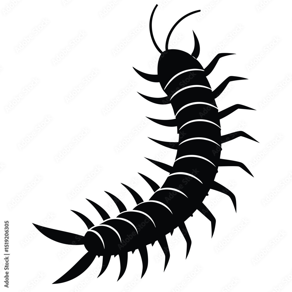 Obraz premium vector scorpion isolated on white background