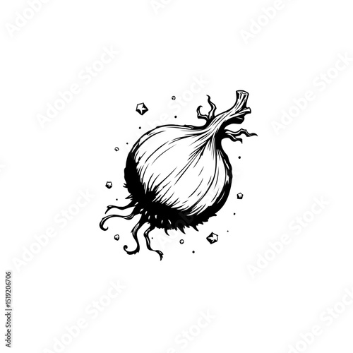 Detailed black and white garlic drawing for culinary and nutritional content