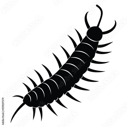 Silhouette of a black beetle, an isolated insect with a close-up macro view, perfect for wildlife and nature themes