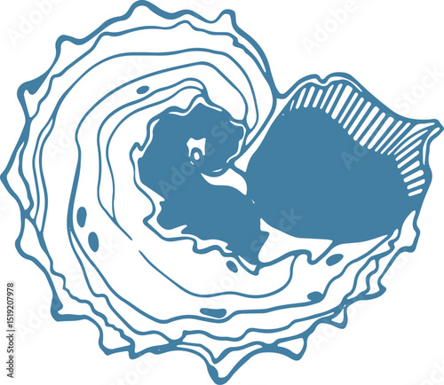 Vector illustration of angaria delphinus isolated. photo