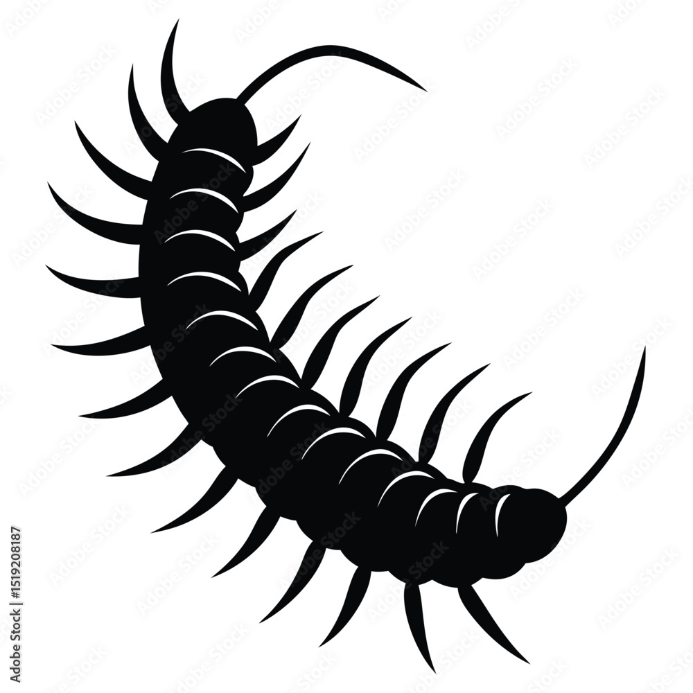 Obraz premium Black silhouette vector of a scorpion and a beetle, isolated small insect creatures on white