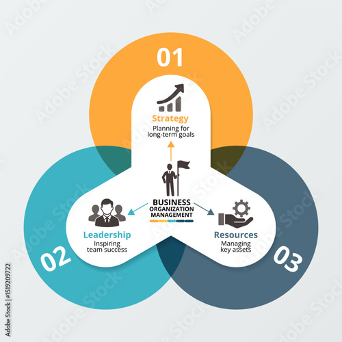 Business organization management infographic template