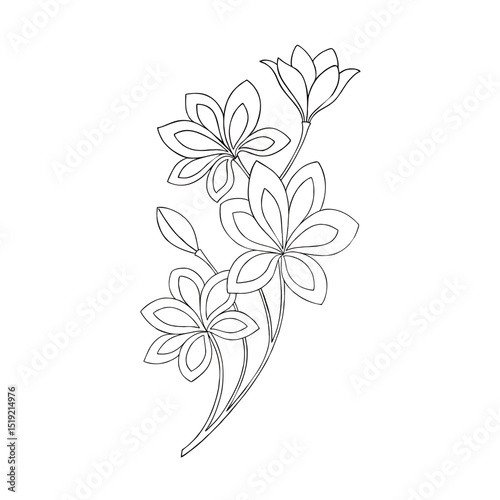 flower outline 