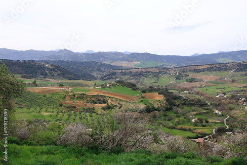 landscape at the western site of the New Bridge over Guadalevin River, Puente Nuevo, Ronda, Andalucia, Spain