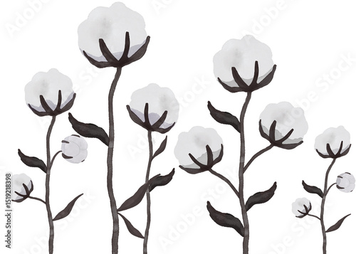 Fototapeta Naklejka Na Ścianę i Meble -  cotton flower garden