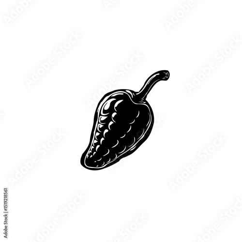 Detailed black and white illustration of a Jalapeño pepper on a white background