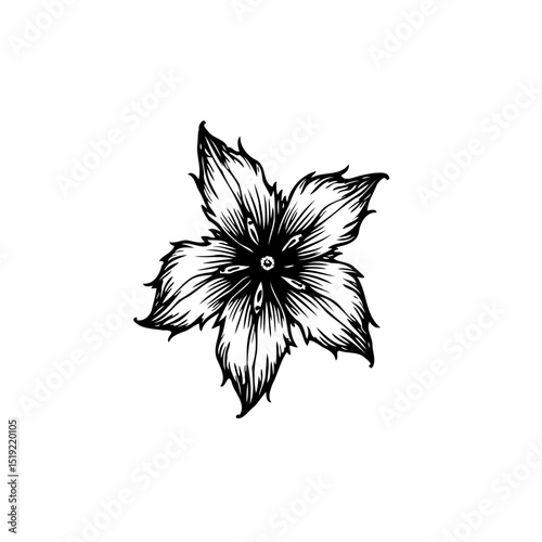 Monochrome floral vector design displaying intricate line work and elegant presentation