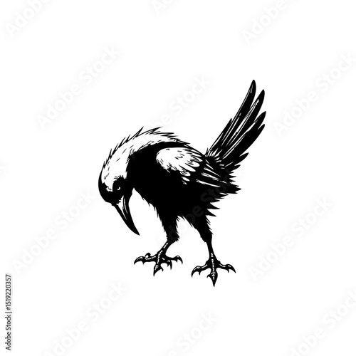 Monochrome illustration of a raven bending its head down in artistic expression