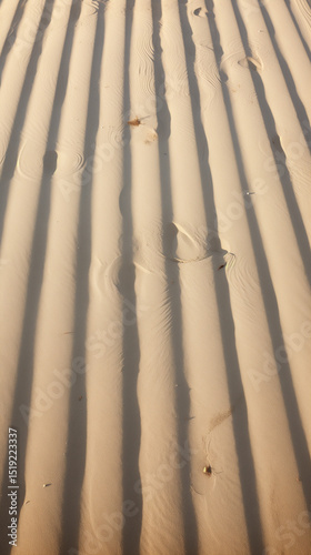 sand dunes in the desert