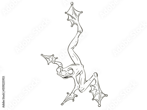 A line drawing frog
