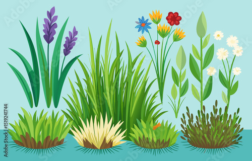 grass and flowers vector