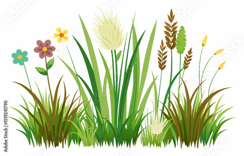 grass and flowers vector