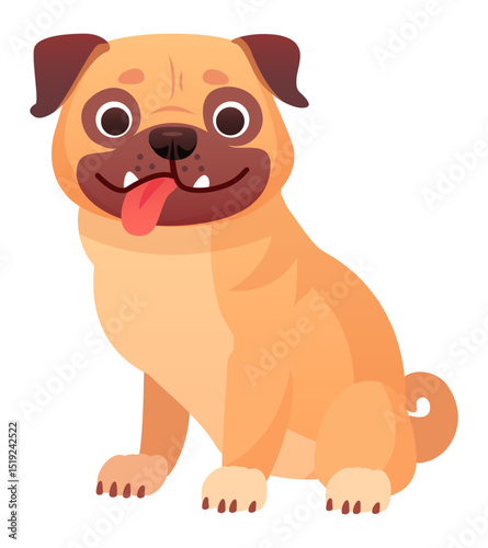 Cute pug dog sitting with tongue out, happy and playful canine pet, adorable companion animal with friendly expression, isolated on white background