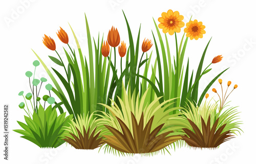 grass and flowers vector