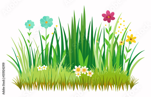 grass and flowers vector