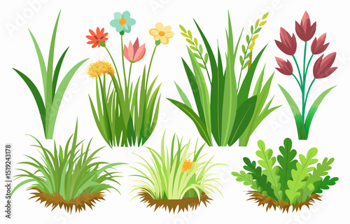 grass and flowers vector