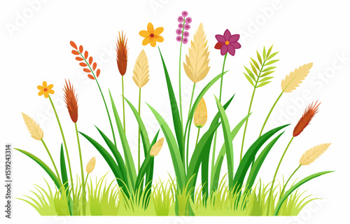 grass and flowers vector