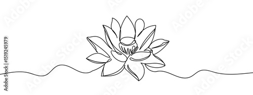 Continuous line, lotus blossom, hand drawn line Line Art Vector Transparent Background Edit Stroke.