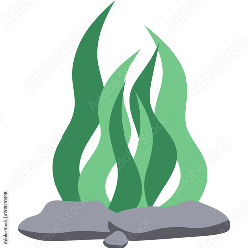 Seaweed Illustration