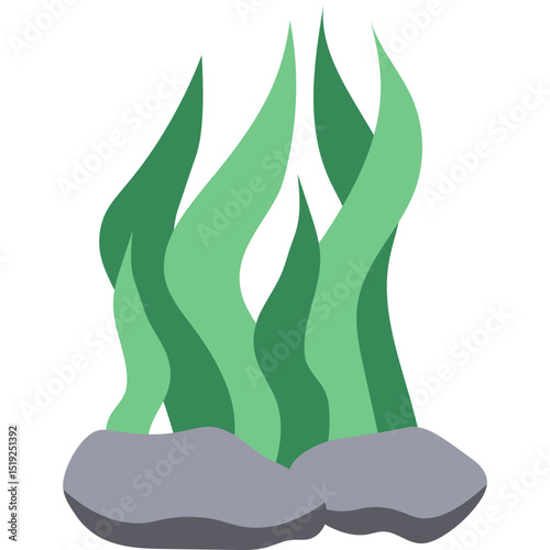 Seaweed Illustration
