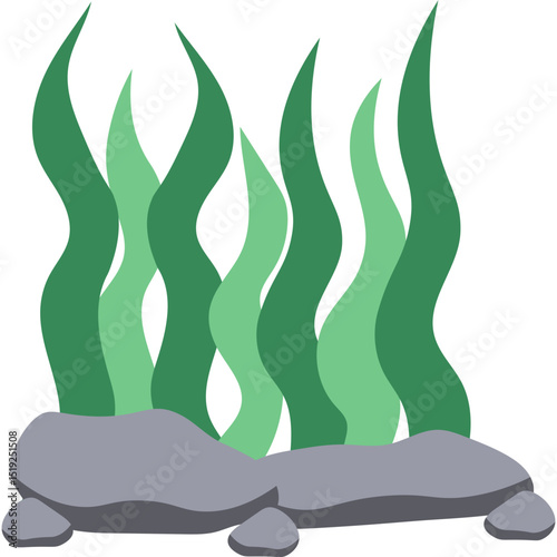Seaweed Illustration