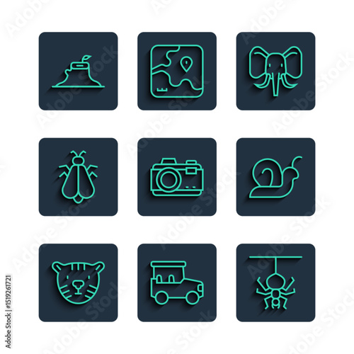 Set line Tiger head, Safari car, Spider, Elephant, Photo camera, Mosquito, Tree stump and Snail icon. Vector