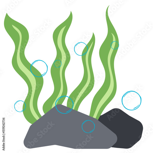 Seaweed Illustration