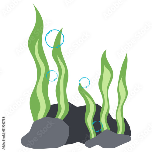Seaweed Illustration