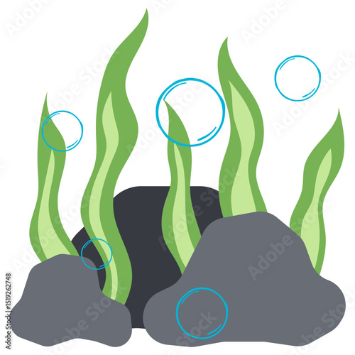 Seaweed Illustration