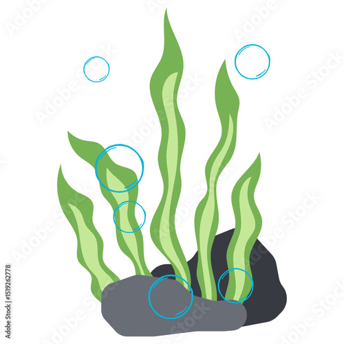 Seaweed Illustration